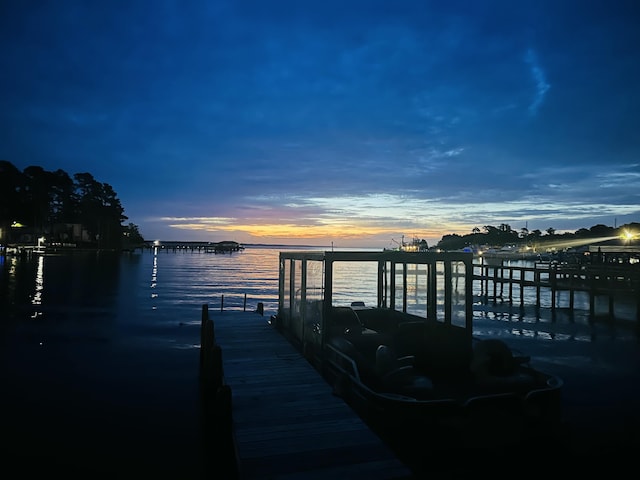 dock area with a water view