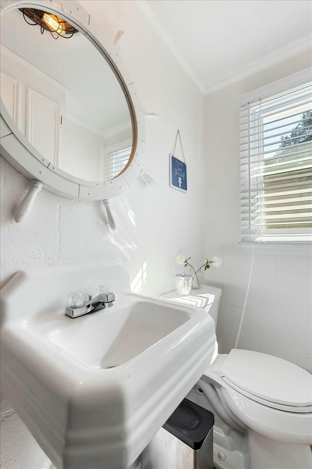 bathroom featuring sink, crown molding, and toilet