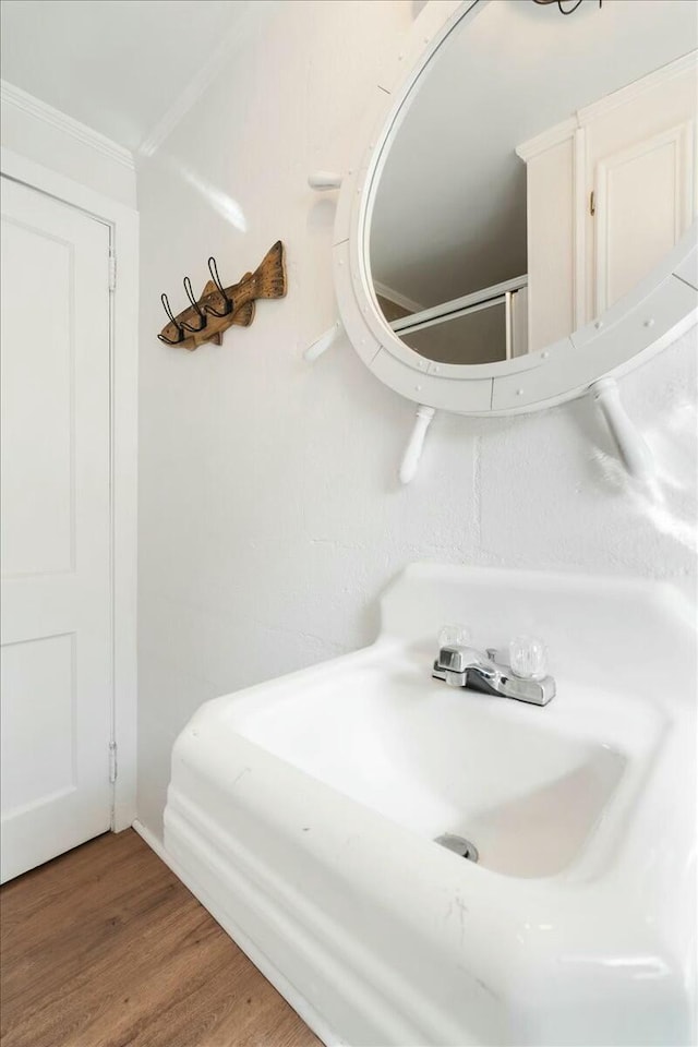 bathroom featuring hardwood / wood-style flooring and ornamental molding