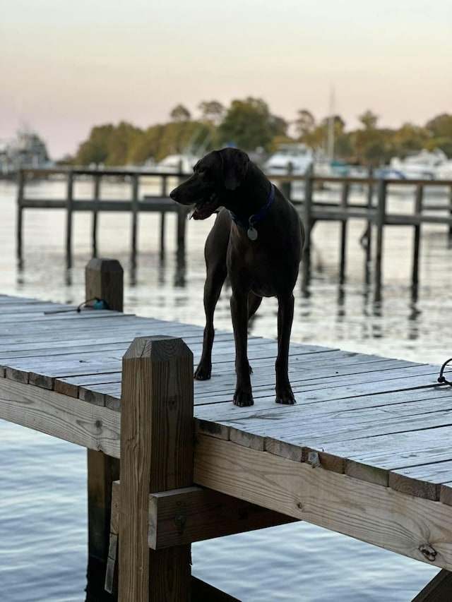 dock area featuring a water view