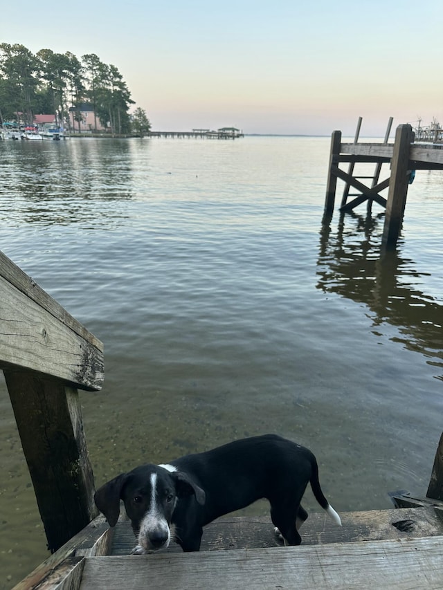 view of dock with a water view