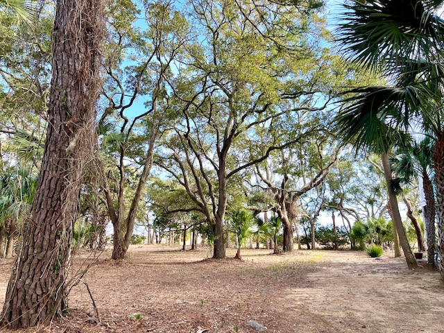 Listing photo 3 for 16 Hammocks Way, Edisto Island SC 29438