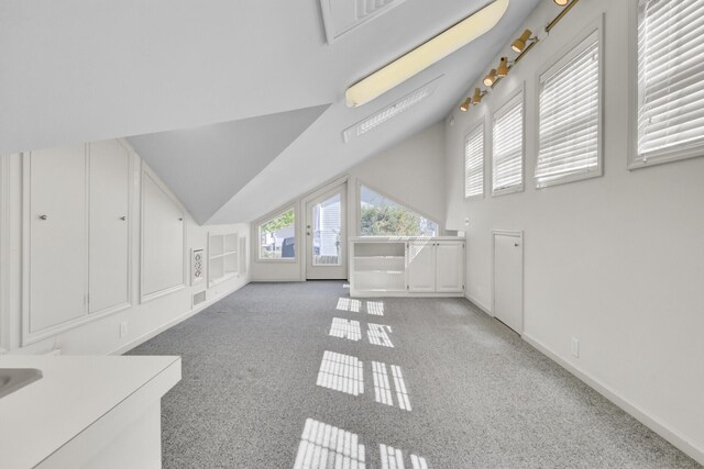 additional living space with light colored carpet, baseboards, and lofted ceiling
