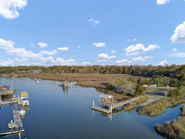 exterior space with a floating dock