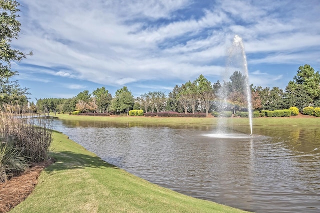 view of water feature