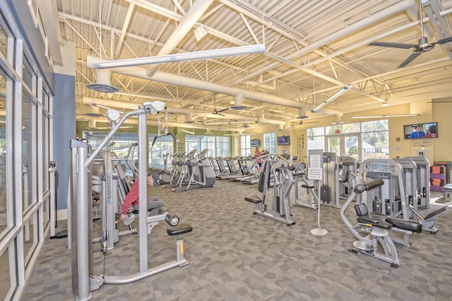 exercise room featuring a towering ceiling and carpet flooring