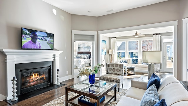 living room with hardwood / wood-style floors and a wealth of natural light