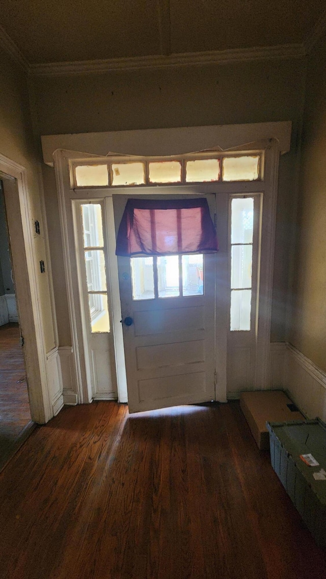 doorway featuring wainscoting, wood finished floors, and crown molding