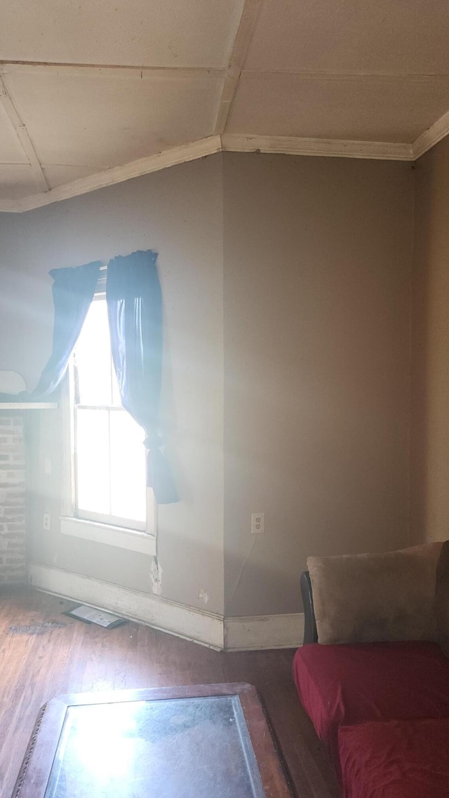 additional living space with wood finished floors and baseboards