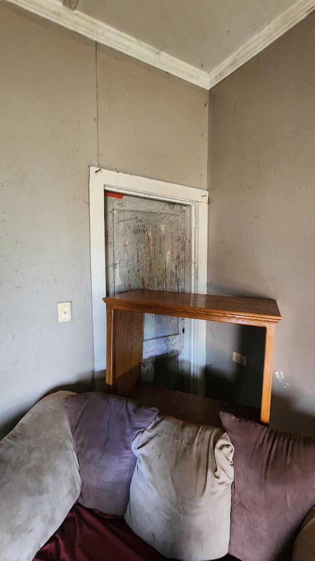 room details featuring ornamental molding
