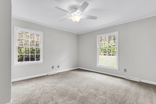 598 Maple Branch Rd, Reevesville, SC 29471 - unfurnished room featuring carpet, ceiling fan, and ornamental molding