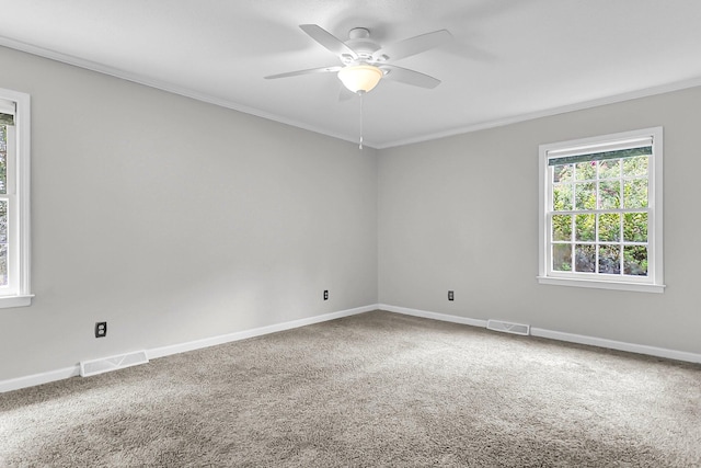 598 Maple Branch Rd, Reevesville, SC 29471 - unfurnished room featuring carpet, ornamental molding, plenty of natural light, and a ceiling fan