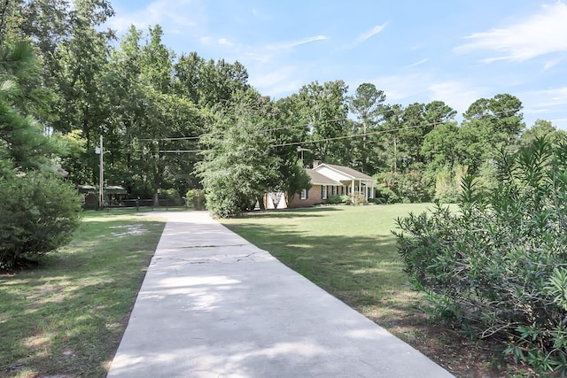 598 Maple Branch Rd, Reevesville, SC 29471 - view of green lawn