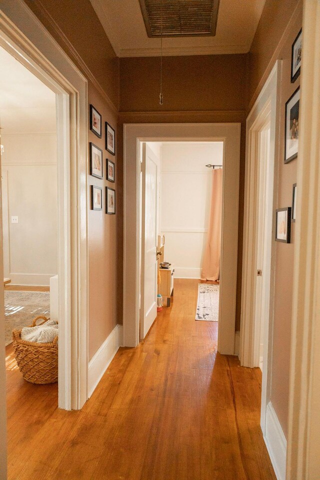 203 Weiters St, Walterboro, SC 29488 - corridor featuring light wood-type flooring and baseboards