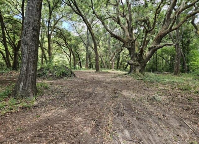 254 Deer Track Dr, Edisto Island SC, 29438 land for sale