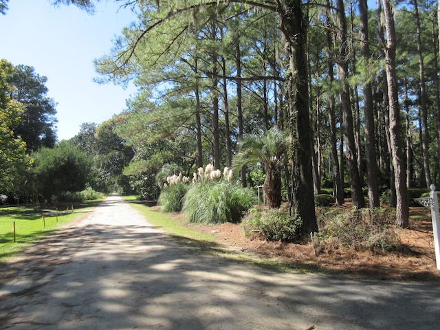 view of street