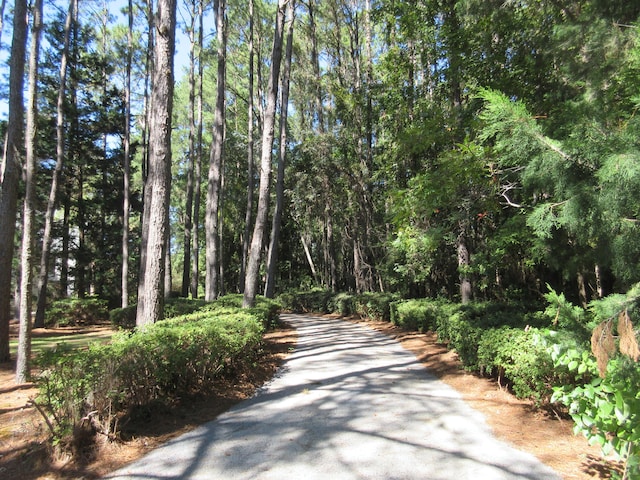 view of surrounding community