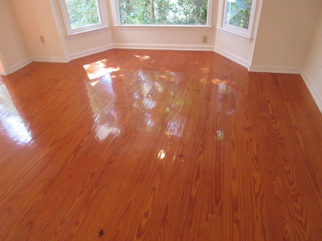 unfurnished room featuring wood-type flooring and a healthy amount of sunlight