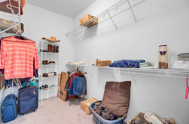 spacious closet with carpet