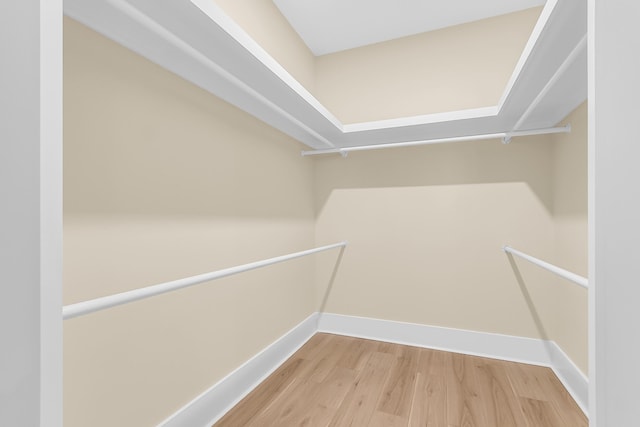 walk in closet with wood finished floors