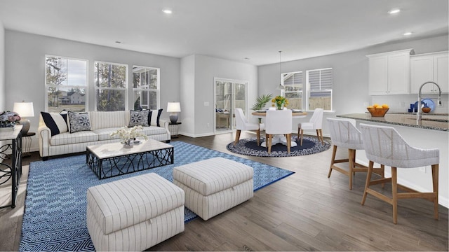 living room with sink and hardwood / wood-style flooring