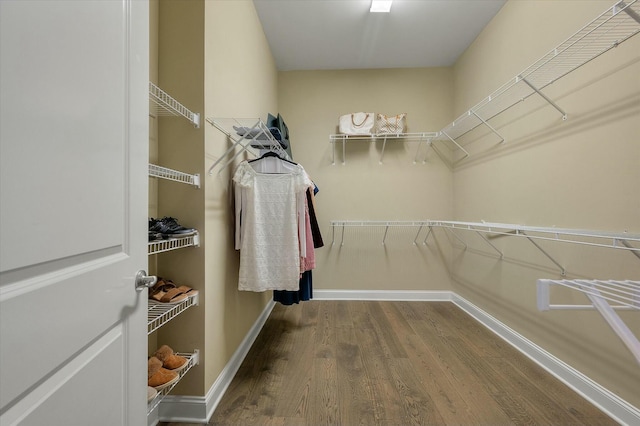 walk in closet with hardwood / wood-style floors