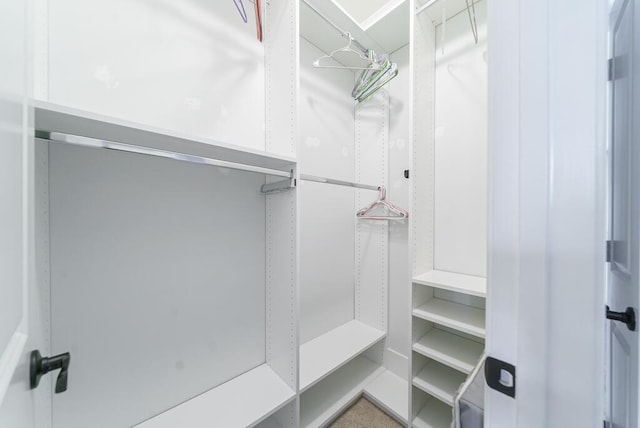 1250 Hammrick Ln, Johns Island, SC 29455 - view of spacious closet