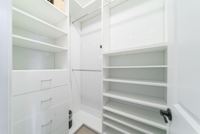 1250 Hammrick Ln, Johns Island, SC 29455 - view of spacious closet