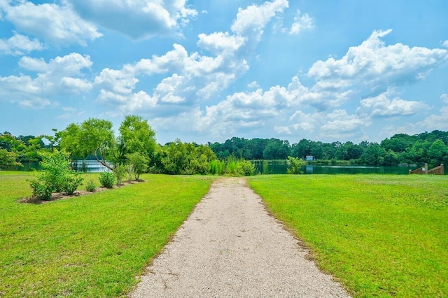 1250 Hammrick Ln, Johns Island, SC 29455 - view of road featuring a water view and a wooded view