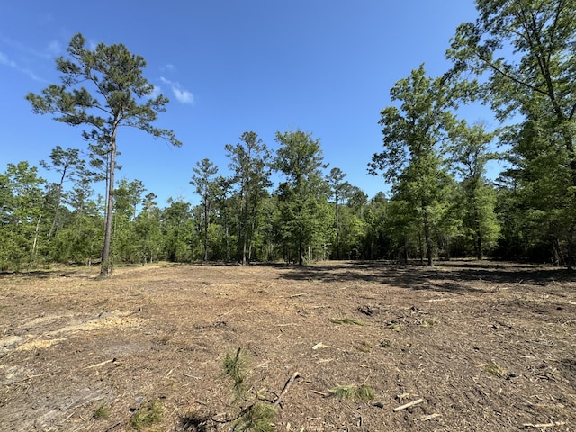 0 Old Dairy Rd Lot 1, Summerville SC, 29483 land for sale