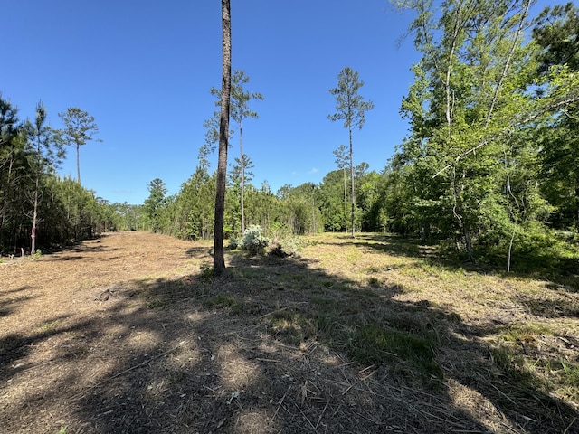 Listing photo 3 for 0 Old Dairy Rd Lot 1, Summerville SC 29483