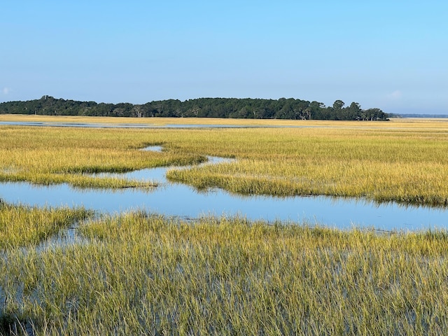 1815 Long Bend Dr, Seabrook Island, SC 29455 - water view featuring a forest