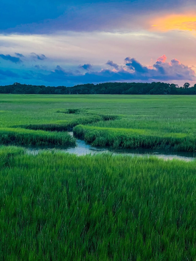 1815 Long Bend Dr, Seabrook Island, SC 29455 - yard at dusk with a view of countryside