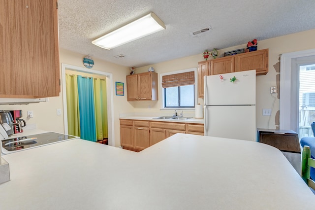 kitchen with a textured ceiling, sink, and white refrigerator