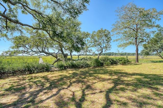 view of yard featuring a rural view