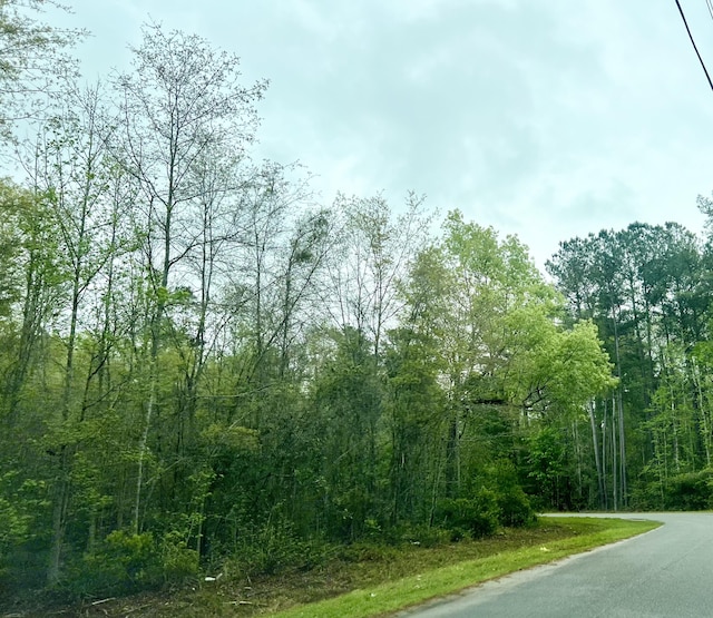 0 Glen St, Walterboro SC, 29488 land for sale