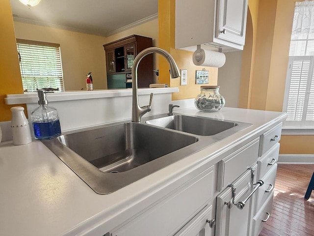details featuring crown molding, wood finished floors, light countertops, white cabinetry, and a sink
