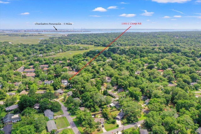 1383 Camp Rd Unit C, Charleston, SC 29412 - bird's eye view of a forest and a large body of water