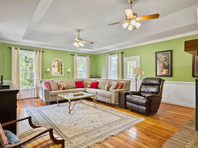 living room featuring a healthy amount of sunlight, a tray ceiling, and light hardwood / wood-style flooring