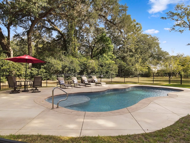 view of pool featuring a patio area