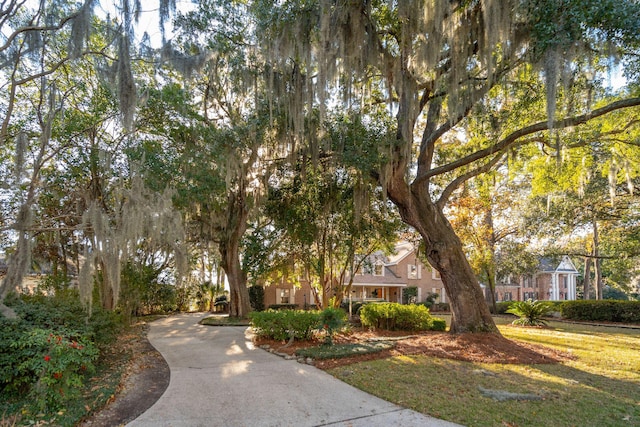 view of front of house featuring a front lawn