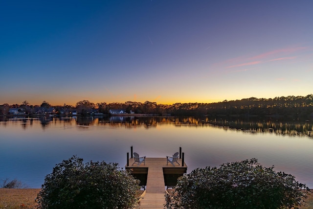 dock area with a water view