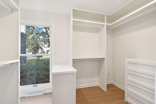 spacious closet with hardwood / wood-style floors