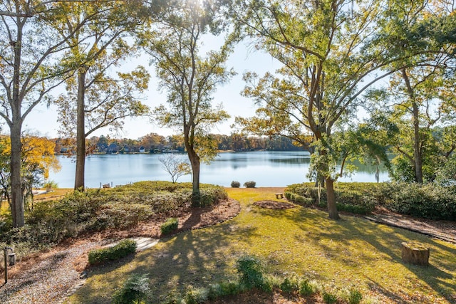 view of water feature