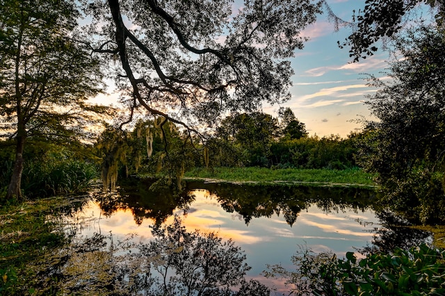 nature at dusk with a water view