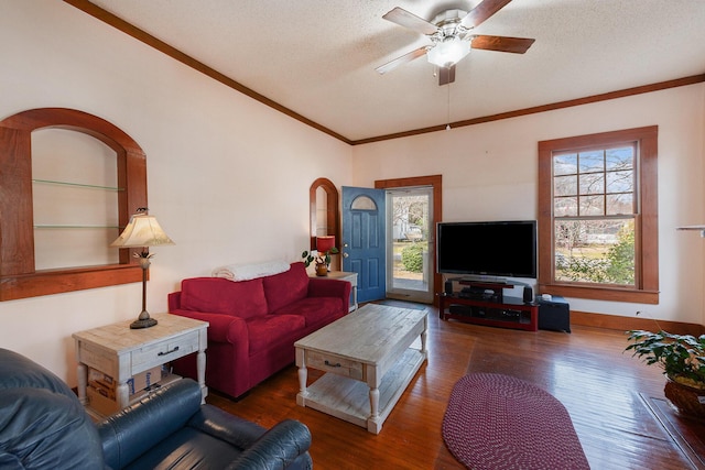 living room with a textured ceiling, wood finished floors, and crown molding