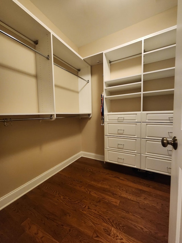 walk in closet featuring dark wood-style floors