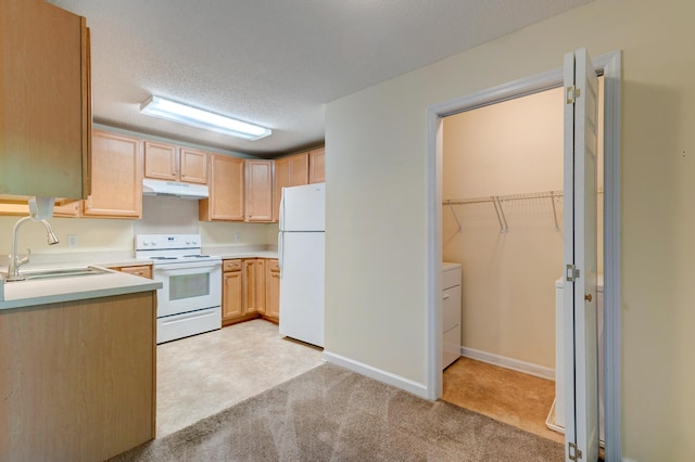 6280 Rolling Fork Rd Unit 302, North Charleston, SC 29406 - kitchen featuring white appliances, under cabinet range hood, light brown cabinetry, light carpet, and light countertops