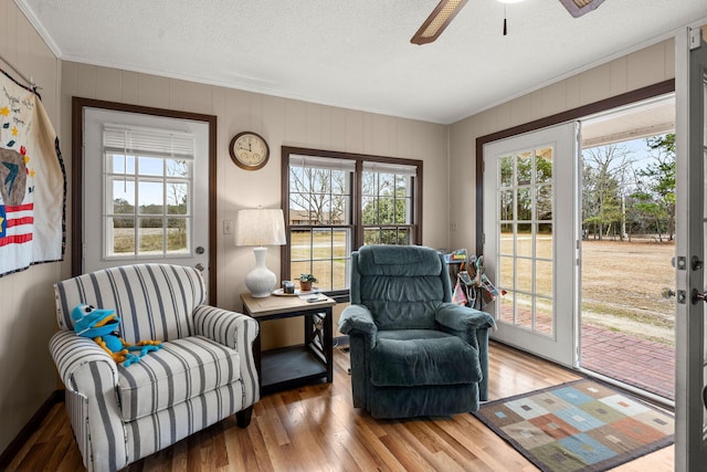 living area with ceiling fan, plenty of natural light, wood-type flooring, and a textured ceiling