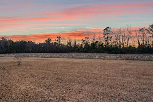 view of yard at dusk